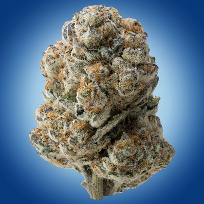 Lemon Cherry Beltz