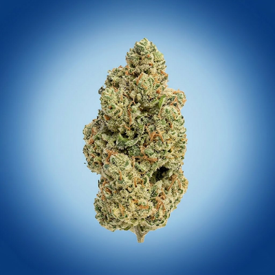 White Widow